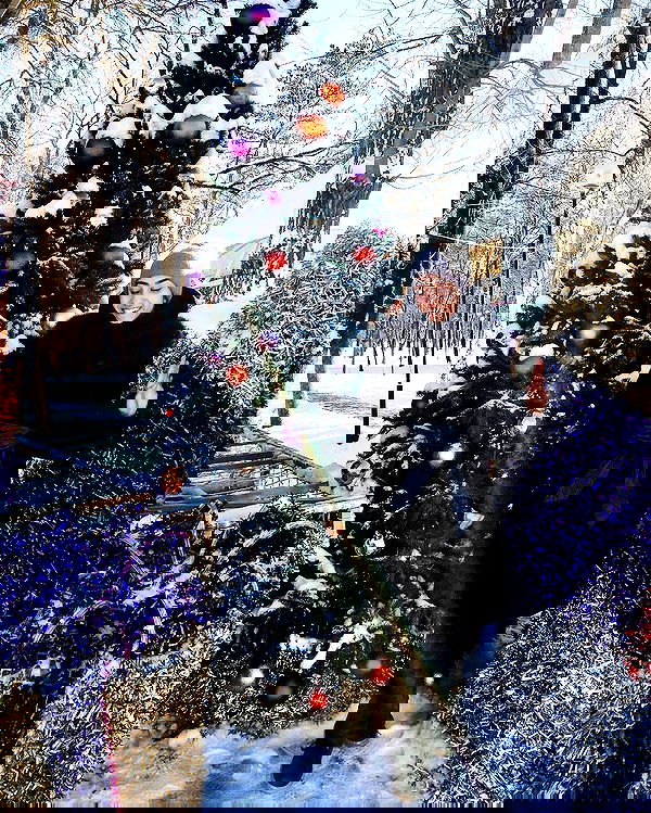 kkulakovaa image ~ Altpins