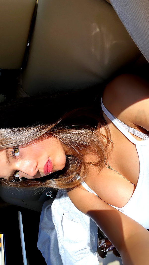 solveyyyy archive image