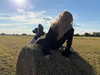 anasilesio Altpins Profile Picture