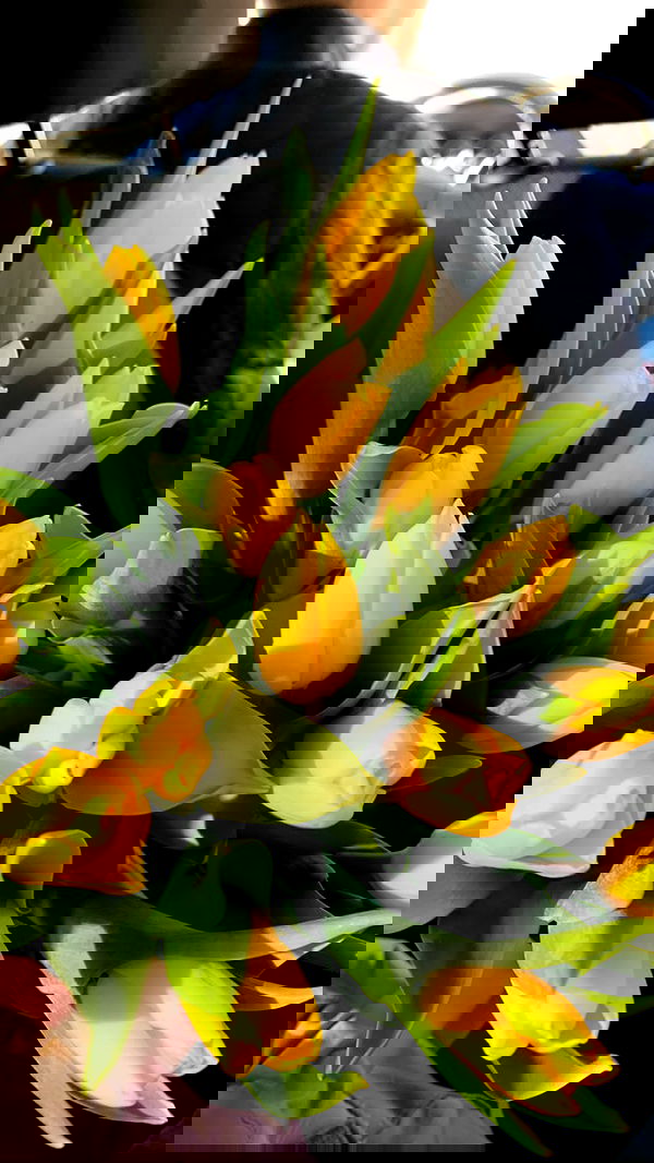 nyityam nyityam archive image