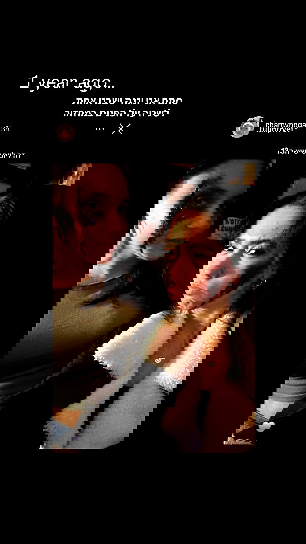 tuliprivet tuliprivet archive image