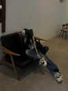 31cna_ Altpins Profile Picture