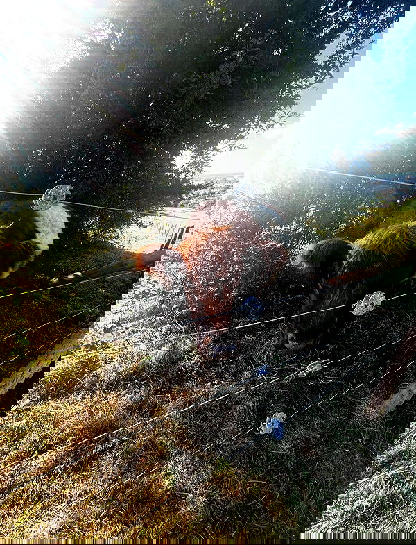 kitty.elliss kitty.elliss archive image