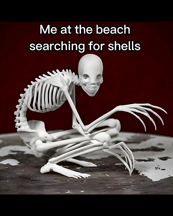 leanbeefpatty instagram image archive image
