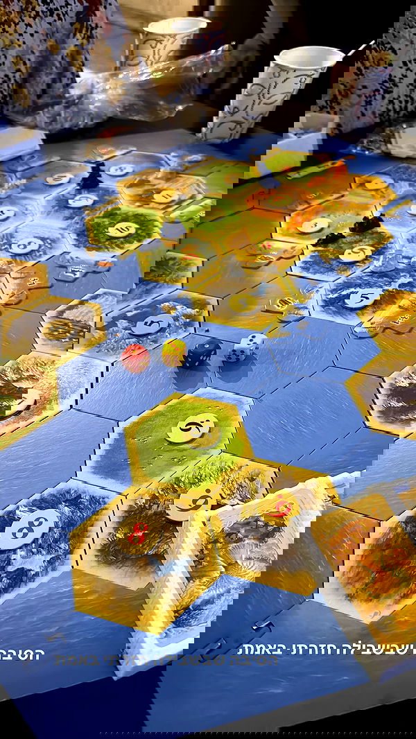 biton__adi biton__adi archive image