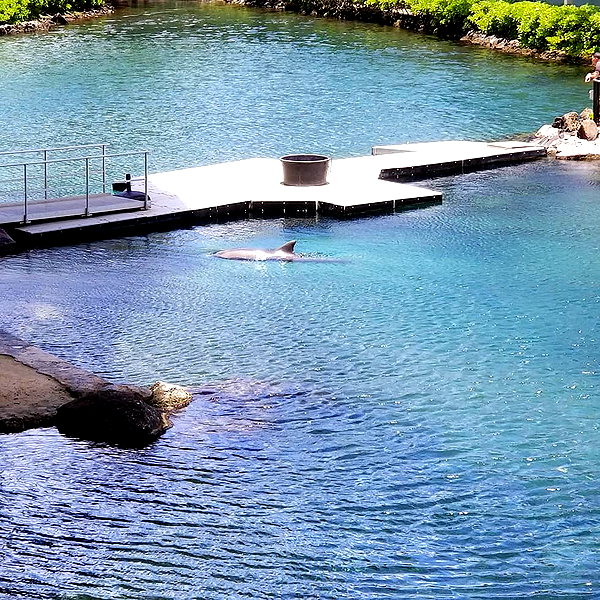 muze instagram image archive image