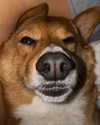 missbrisolo Altpins Profile Picture