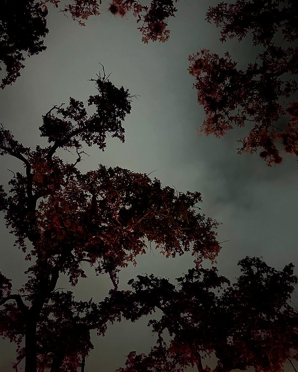 demonictii instagram image archive image