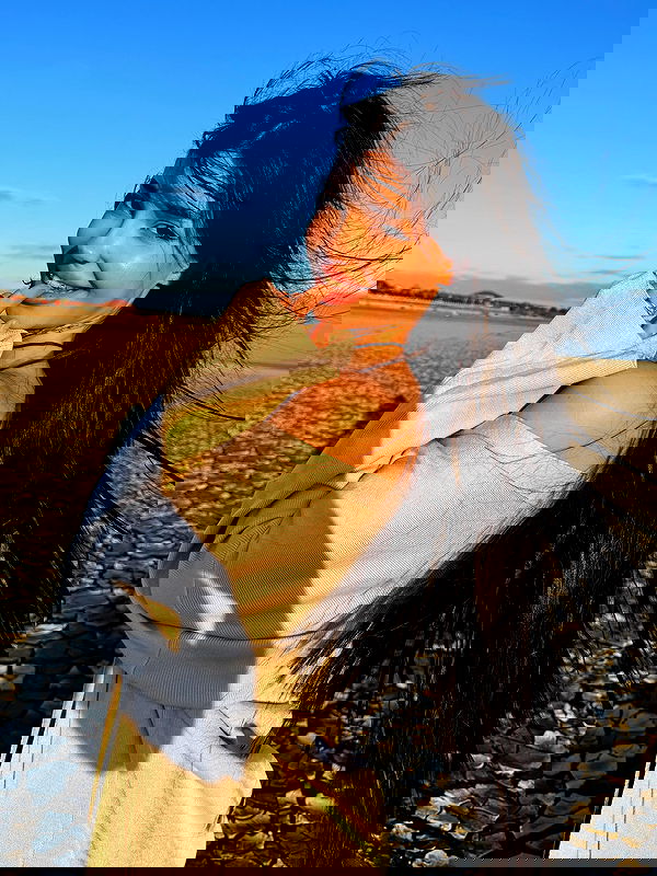 txxwwq txxwwq archive image