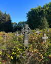 mollieruck Altpins Profile Picture