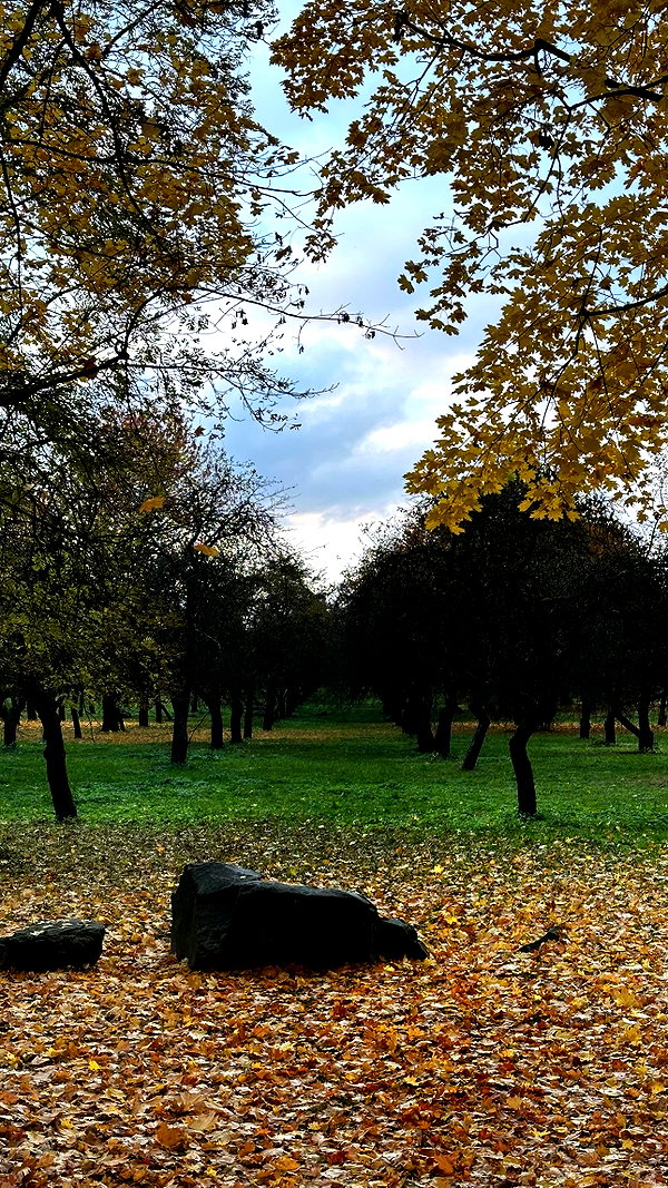 quincymood instagram image archive image
