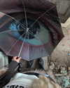ayguldavlletova Altpins Profile Picture