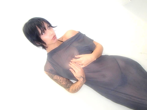 bentevviolet archive image