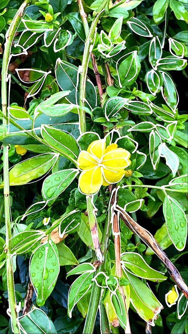babynympho_archive instagram image archive image
