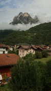 liron_haas Altpins Profile Picture