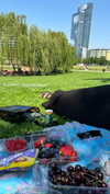 chelsnamsayin Altpins Profile Picture