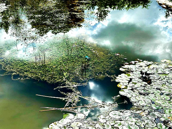 naamasini instagram image archive image