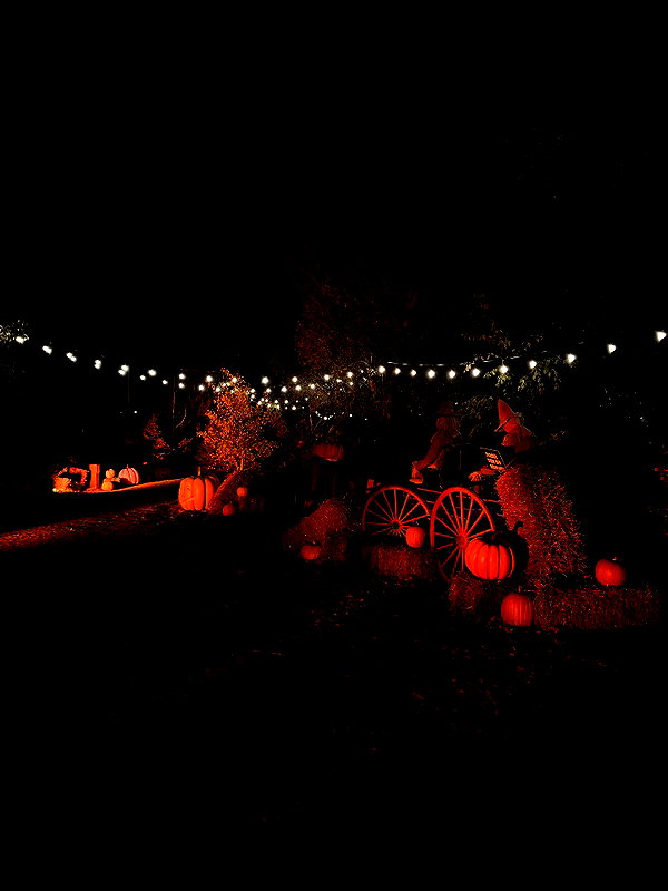 1uvgabi instagram image archive image