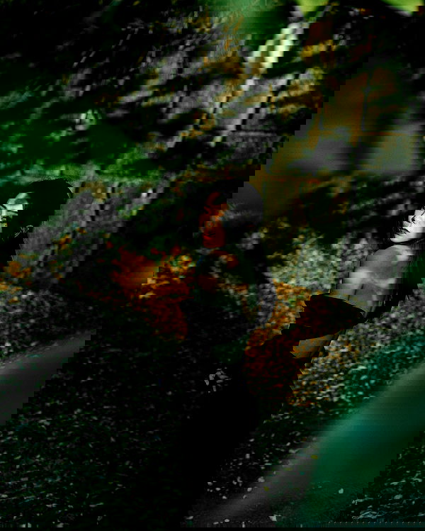 ting851204 ting851204 archive image