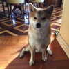kafelnikova_a Altpins Profile Picture