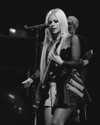 avrillavigne Altpins Profile Picture