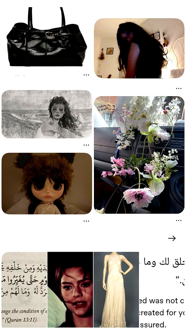 anesa.zm archive image