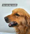 muze Altpins Profile Picture