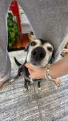 lollinski Altpins Profile Picture
