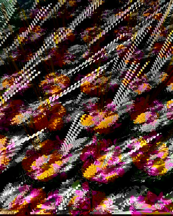 taylor.creeden taylor.creeden archive image