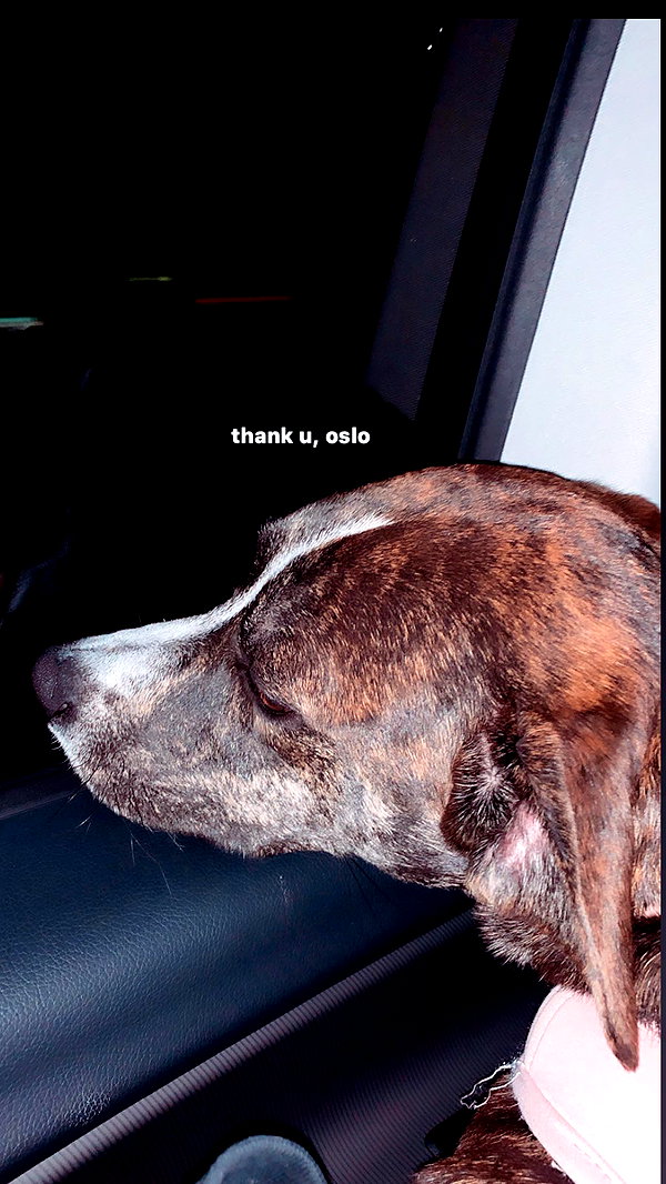 arianagrande instagram image archive image