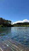 maori_cohen Altpins Profile Picture