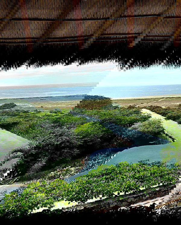 taylor.creeden taylor.creeden archive image