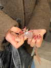 hhh.e_c.v Altpins Profile Picture