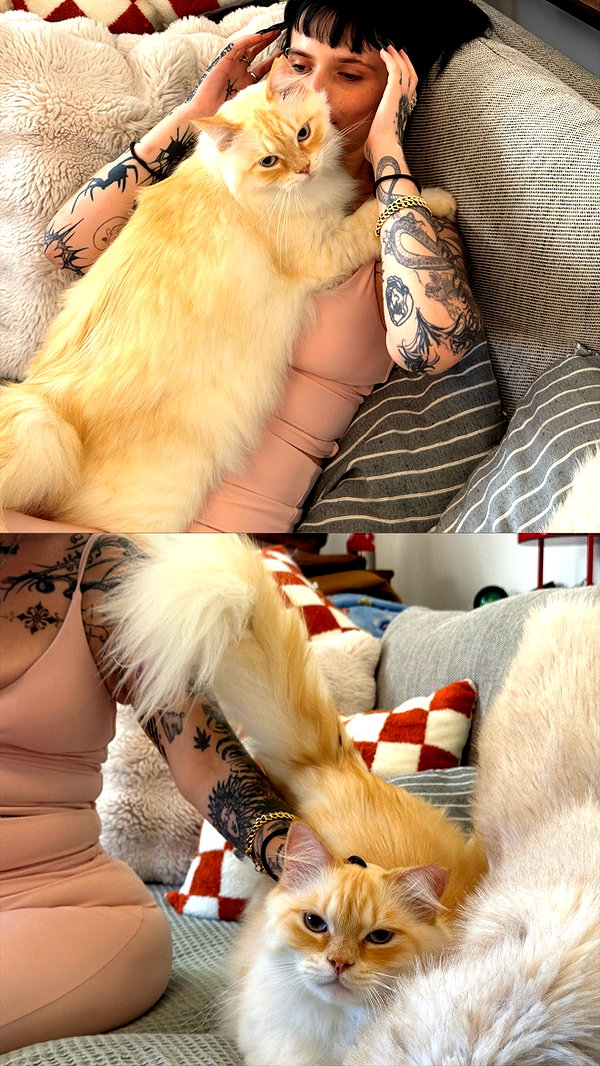 strawberryshanz instagram image archive image