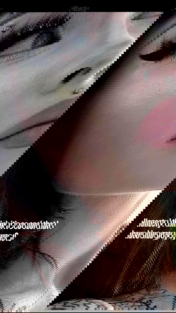 vwnrottie vwnrottie archive image