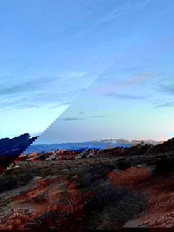 thelizzyporter thelizzyporter archive image