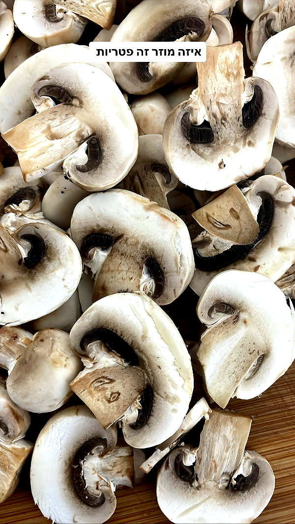 noasoophia instagram image archive image