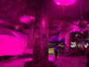 m1lkh8club Altpins Profile Picture
