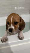 kyla.doddsss Altpins Profile Picture