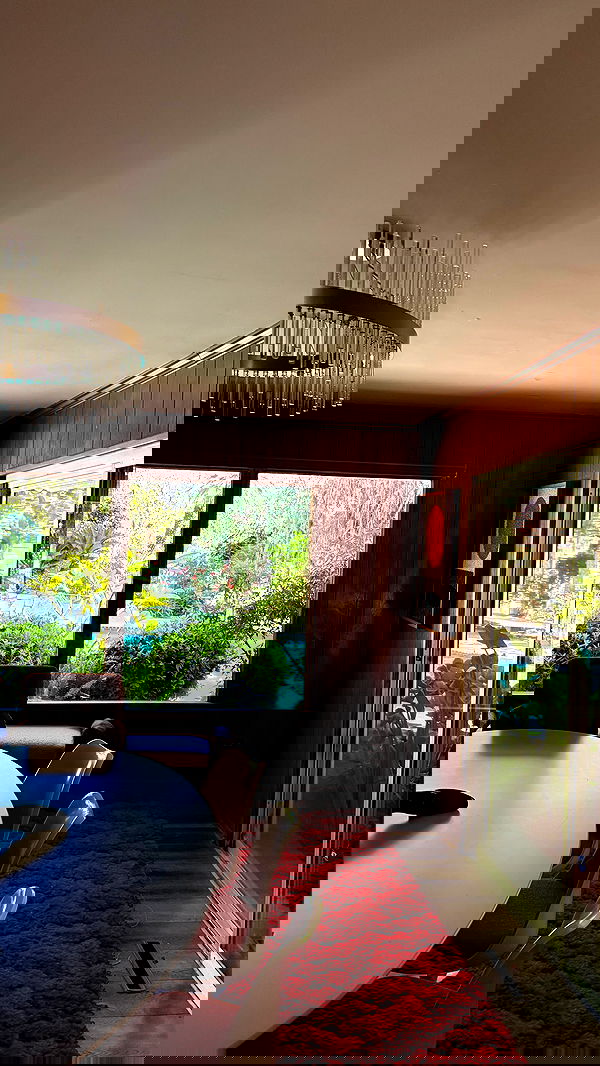 sophiemudd sophiemudd archive image