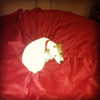 mariahcarey Altpins Profile Picture