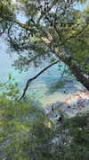 dekota_thompson Altpins Profile Picture