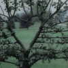 f4iryybl00d Altpins Profile Picture