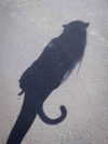lola.luvgood Altpins Profile Picture