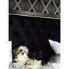 ashleybenson Altpins Profile Picture