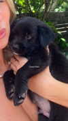 isabellemathersx Altpins Profile Picture