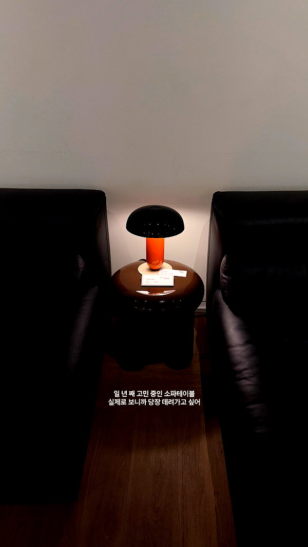 daxbin instagram image archive image