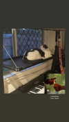 livindeadyaz Altpins Profile Picture