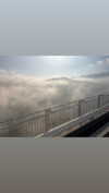 m1ry2m_ Altpins Profile Picture