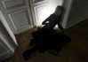 vvelum_ Altpins Profile Picture